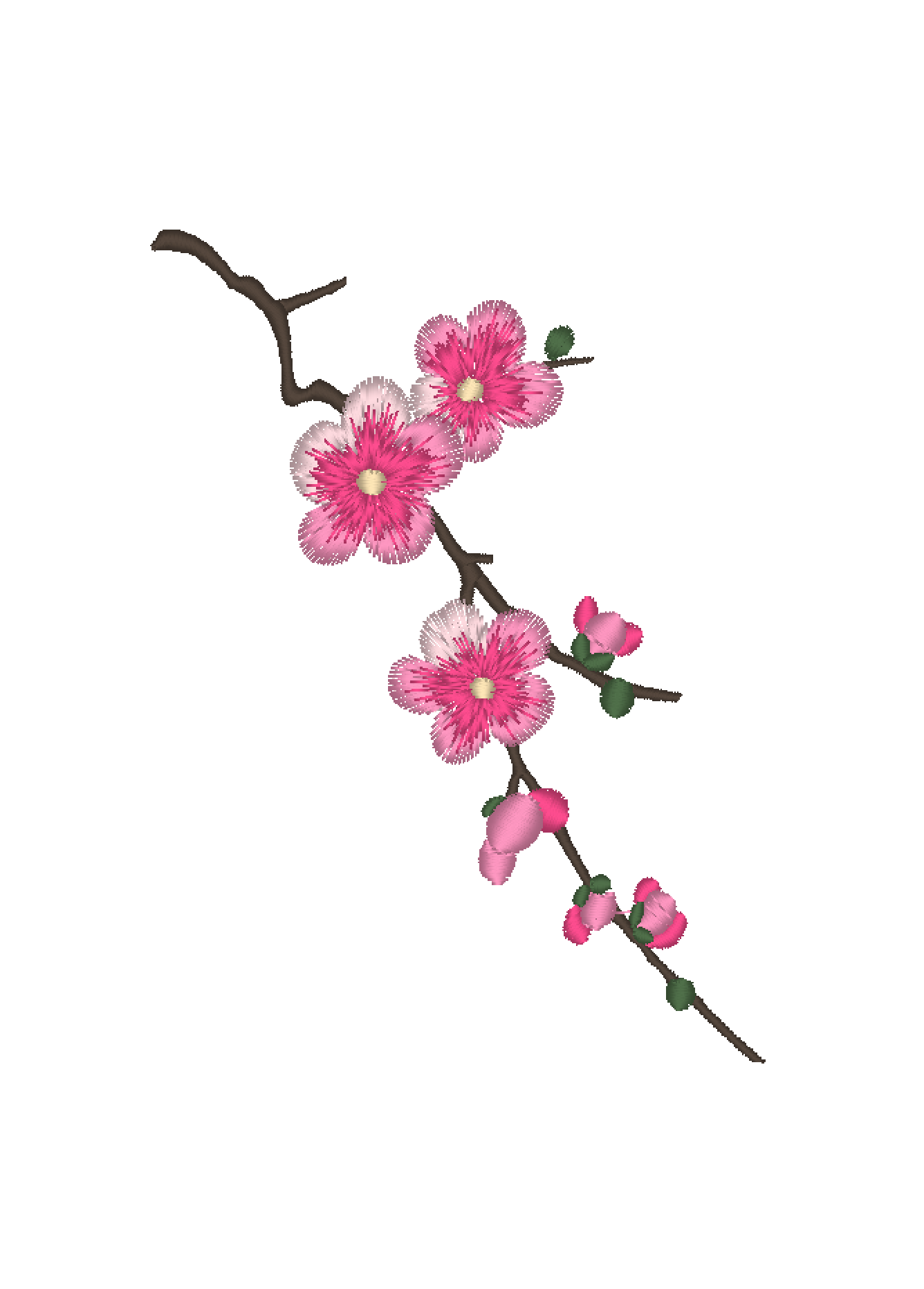 Sakura Branch