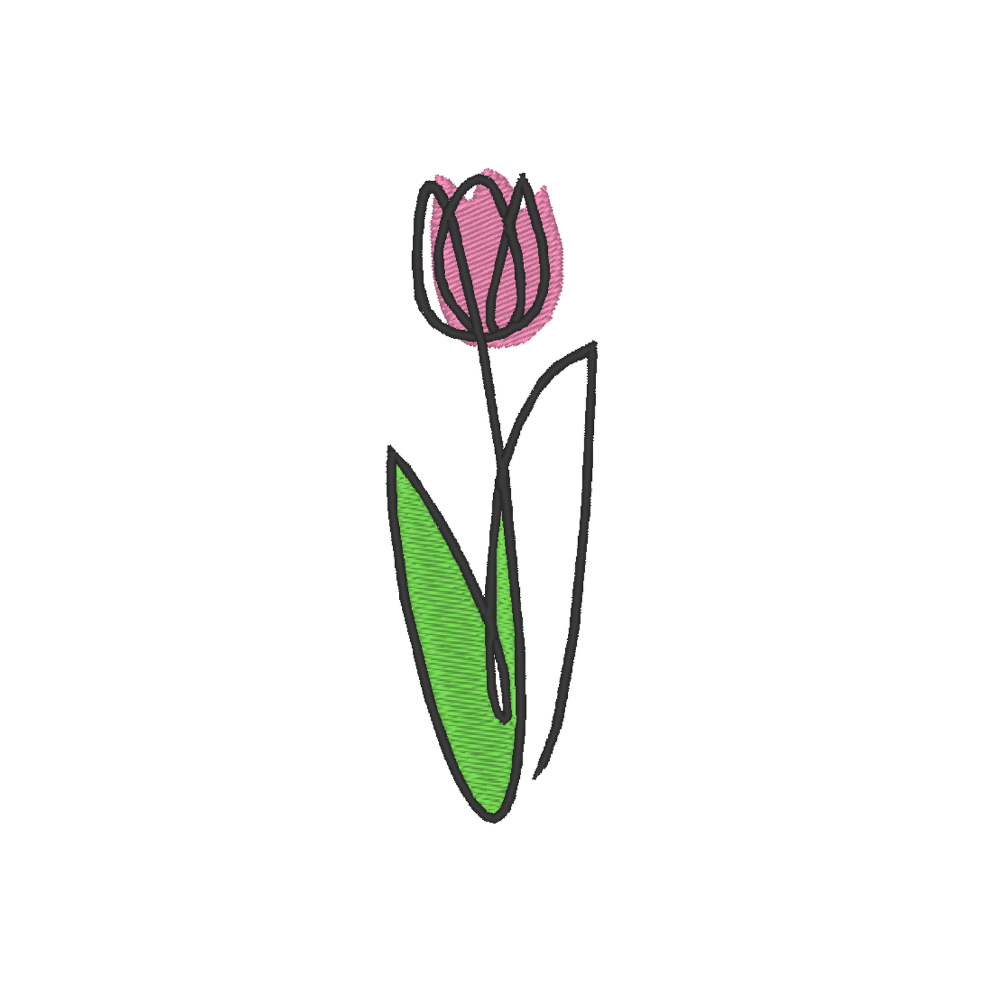 Tulpe