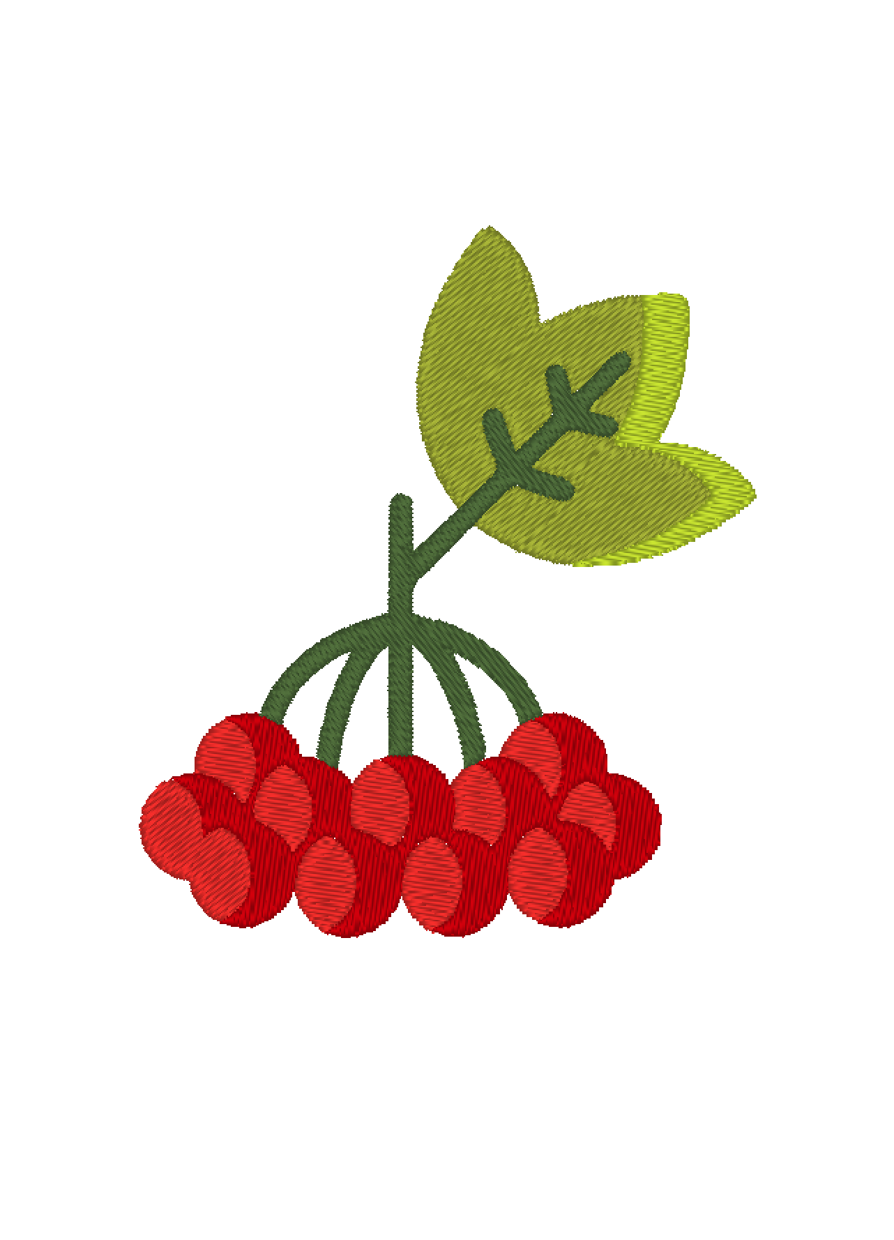 Guelder rose branch