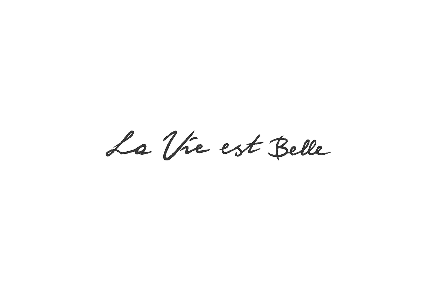 "La vie est Belle" inscription embroidery design